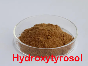 What Is Hydroxytyrosol?